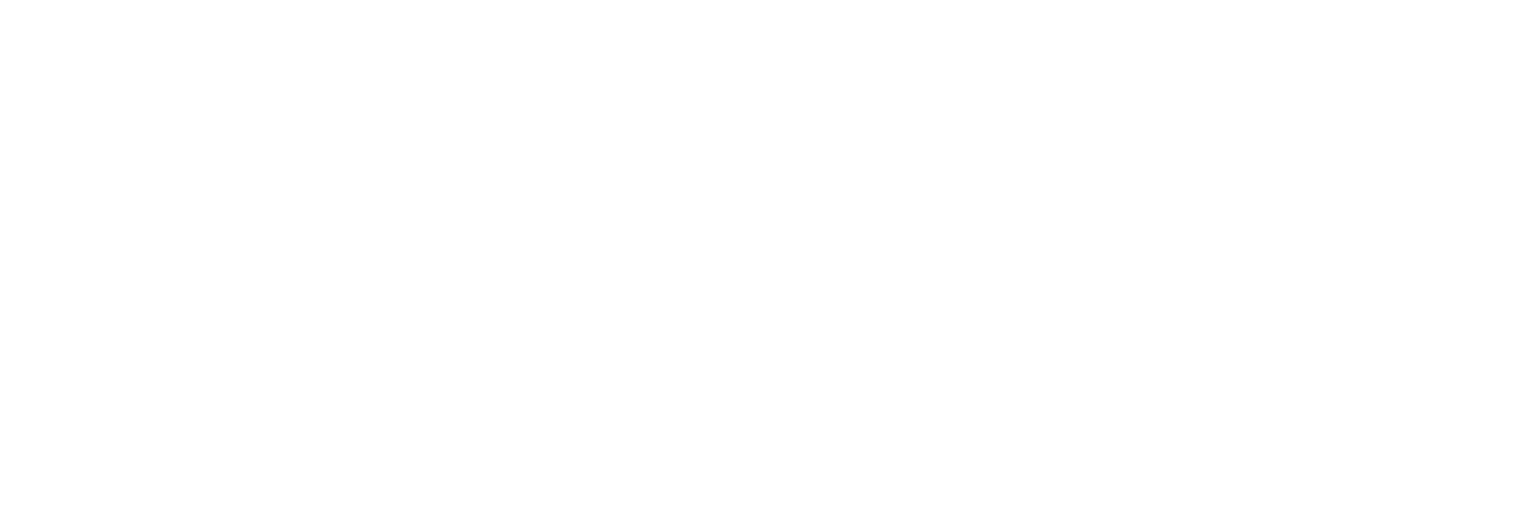 Nuestros Servicios